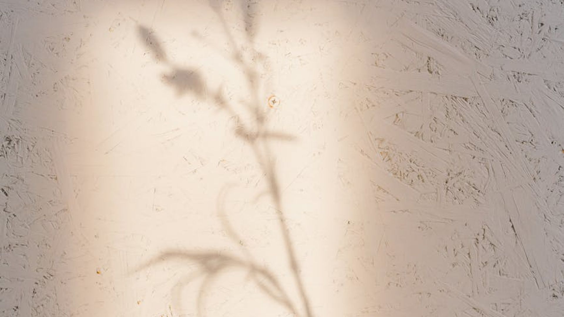 Minimalist and calm room for yoga practice with soft natural light.